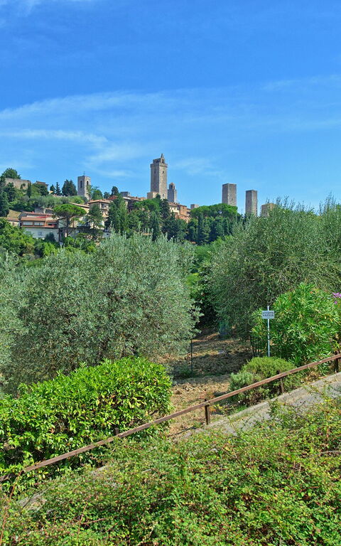 Poggiluglio: Udendørs