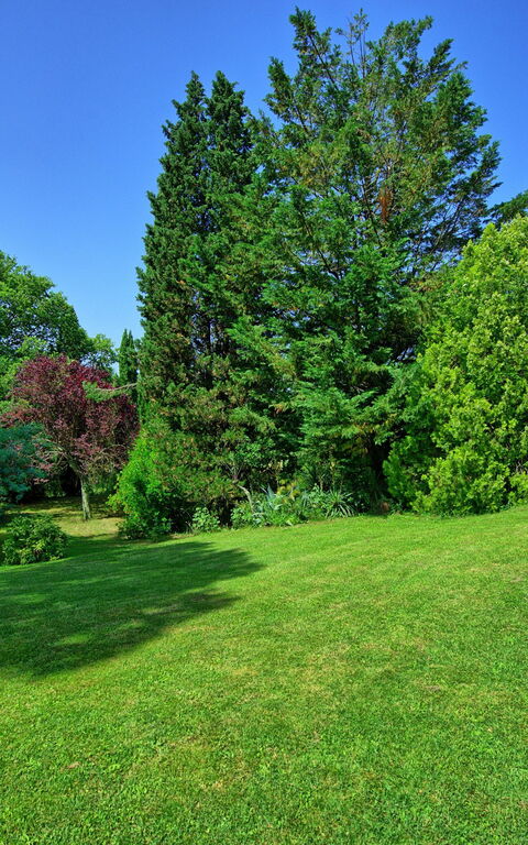 Villa Campogialli: Have