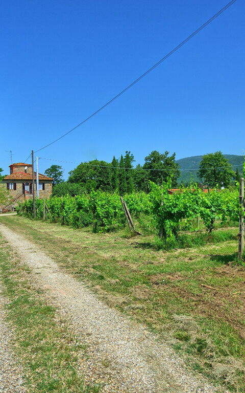 Villa Campogialli: Visninger