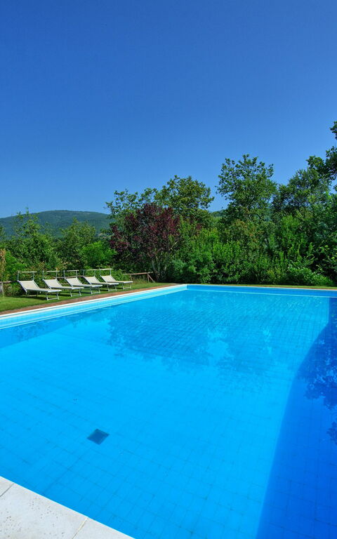 Villa Campogialli: pool