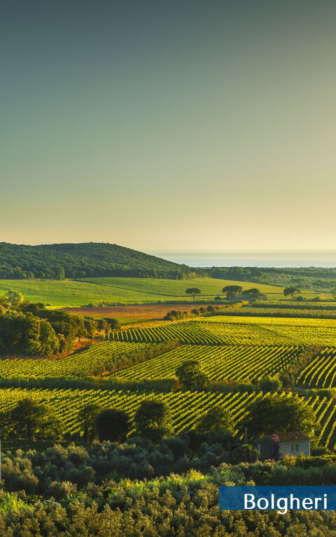 Guardistallo: Udvendige, Visninger