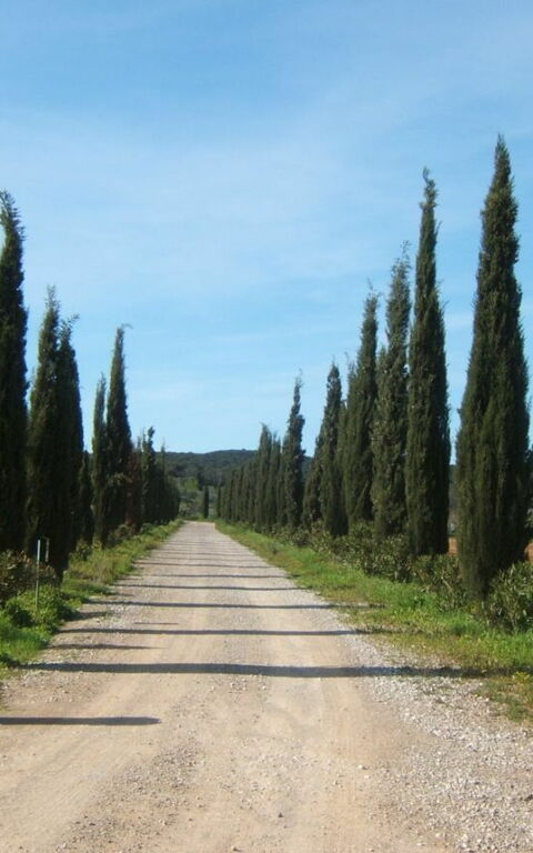Villa Dei Cipressi: Hovedindgang, Udendørs, Udvendige