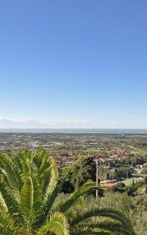 Villa Camaiore: Have, Visninger