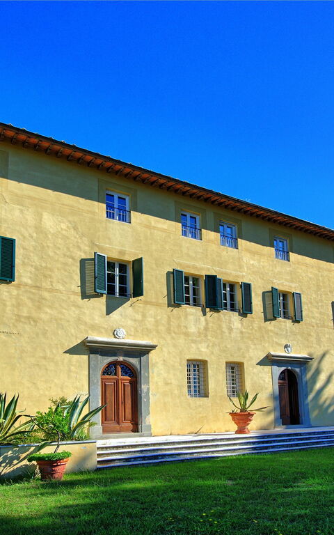 Villa Camaiore: Have, Udendørs