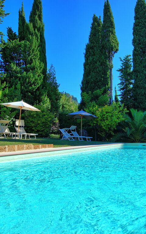 Villa Camaiore: Have, pool