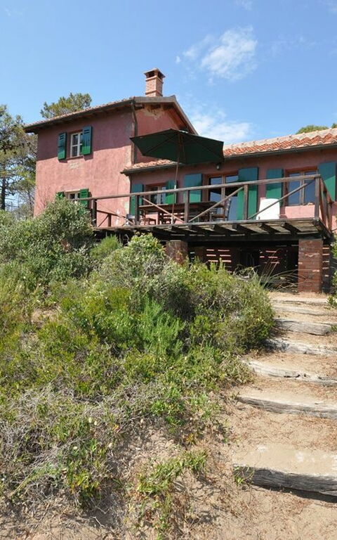 Casamare: Have, Udendørs, Udvendige