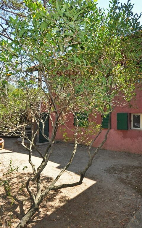 Casamare: Have, Udendørs