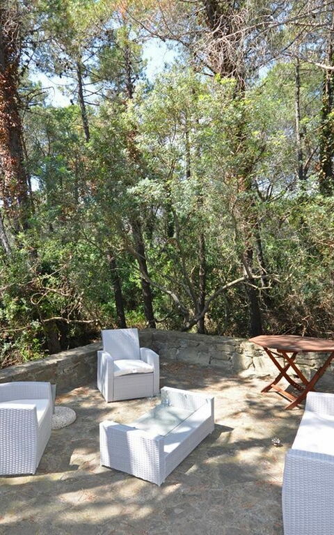 Casamare: Have, Udendørs