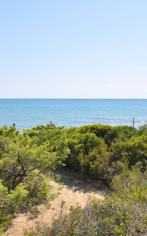 Casamare: Udendørs, Visninger