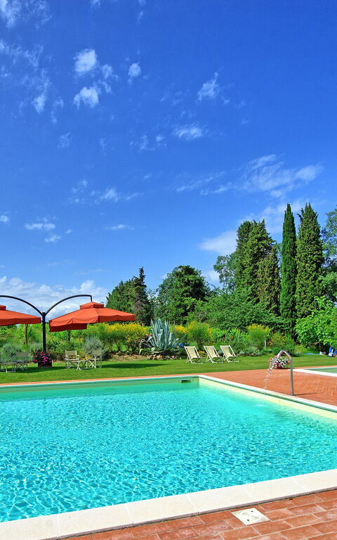 Villa Lorenza: pool