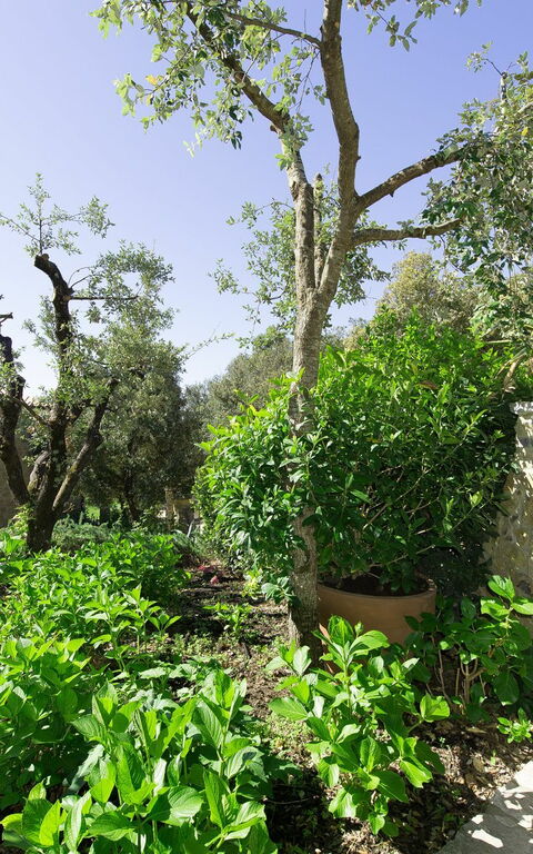 Villa Nova: Udendørs, Udvendige