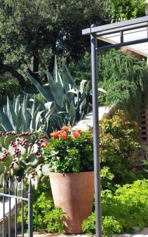 Villa Nova: Udendørs, Udvendige