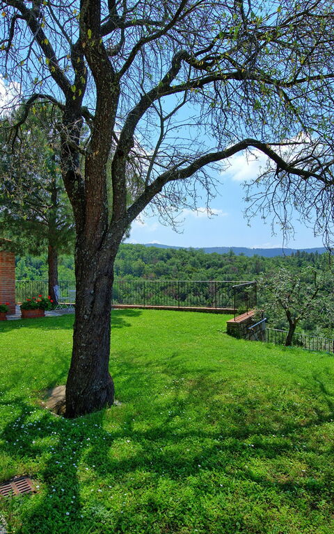 Villa Noceta: Have, Udendørs