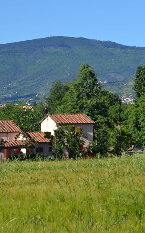 Casa Laura: Visninger