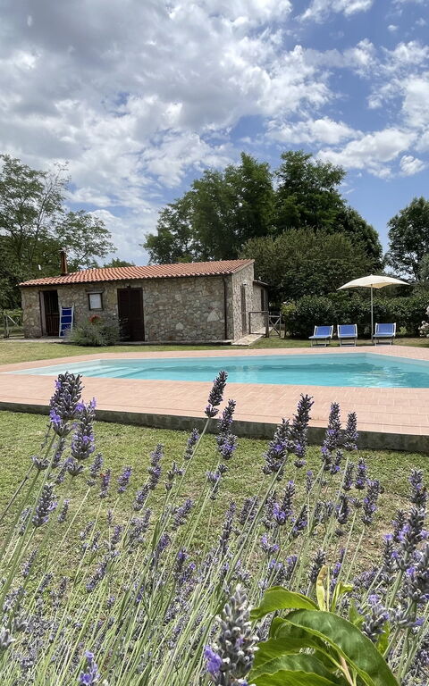 Funghi 1: Have, pool, Udendørs, Udvendige