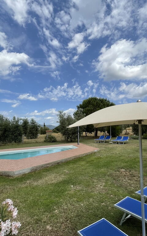 Funghi 1: Have, pool, Udendørs, Udvendige