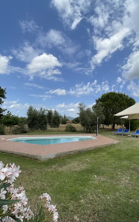 Funghi 1: Have, pool, Udendørs, Udvendige