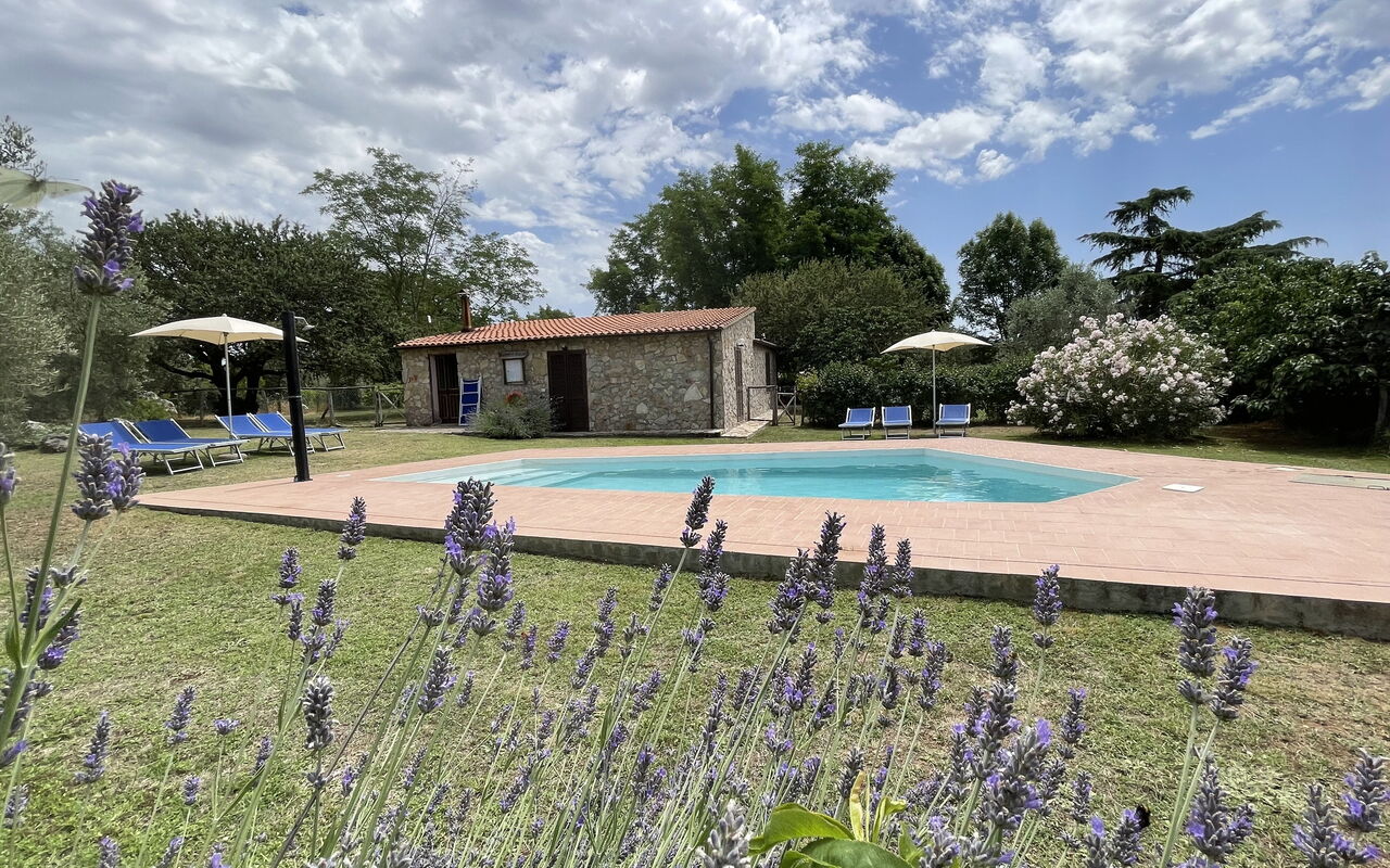 Funghi 1: Have, pool, Udendørs, Udvendige