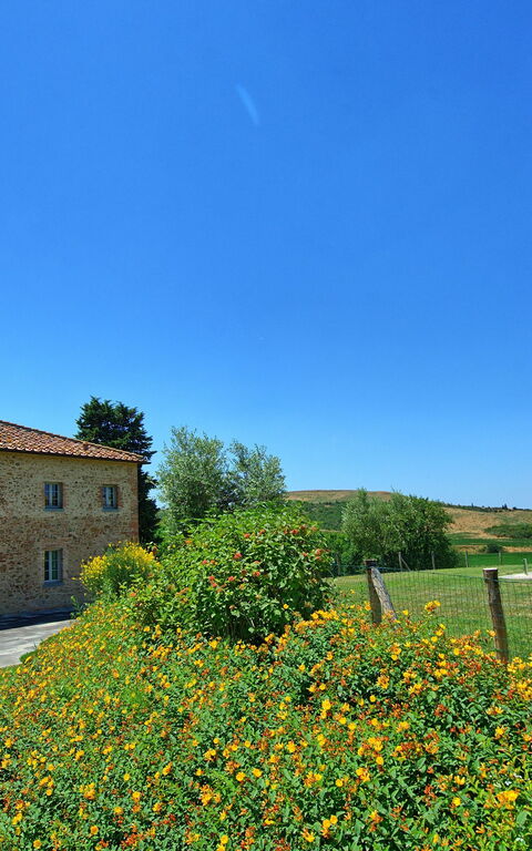 Casale La Valle - Castelfalfi: Have