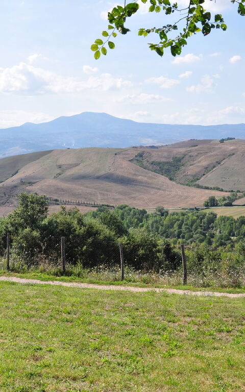 Le Querce Di Campocane: Have, Visninger