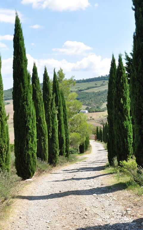 Le Querce Di Campocane: Udvendige
