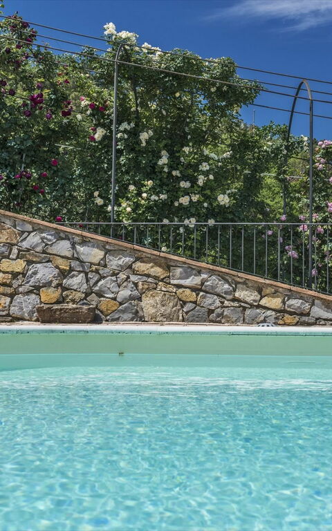 Villa Casalguidi: pool