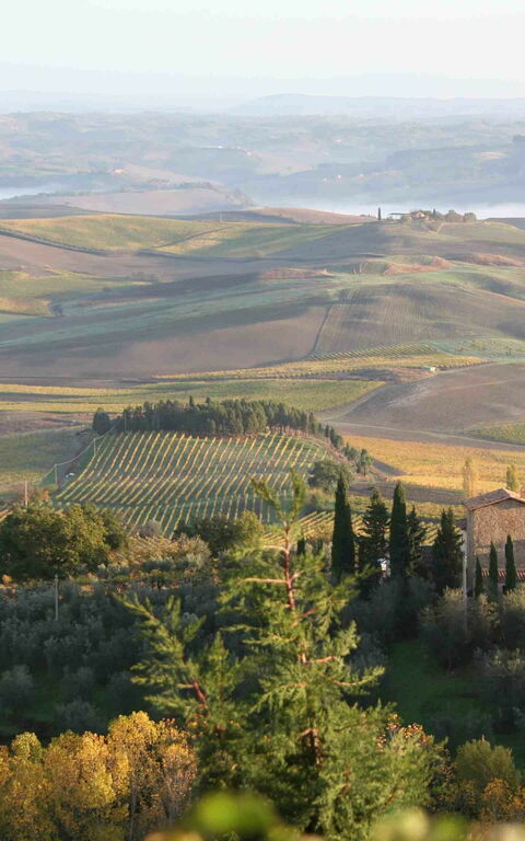 Villa Montalcino: Visninger