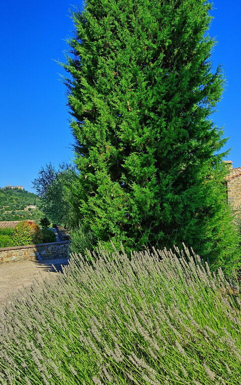 Villa Montalcino: Have