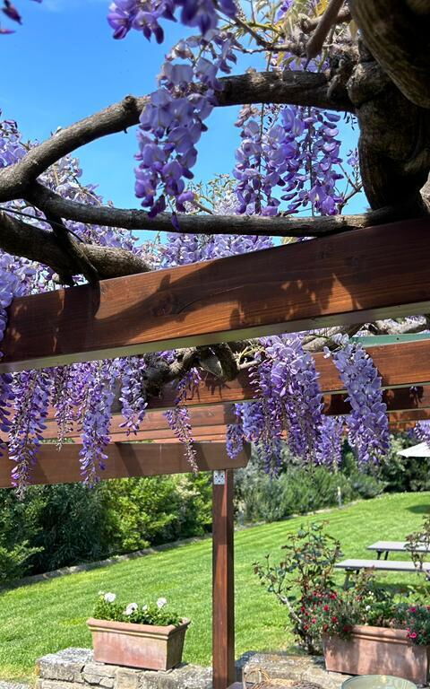 Antico Casale: Altan / terrasse / gårdhave, Udendørs, Udvendige