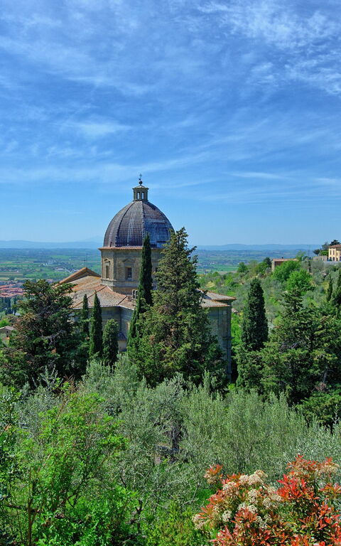 Antico Casale: Have, Visninger