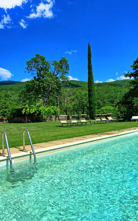 Villa Poggiolino: Have, pool, Udendørs, Udvendige