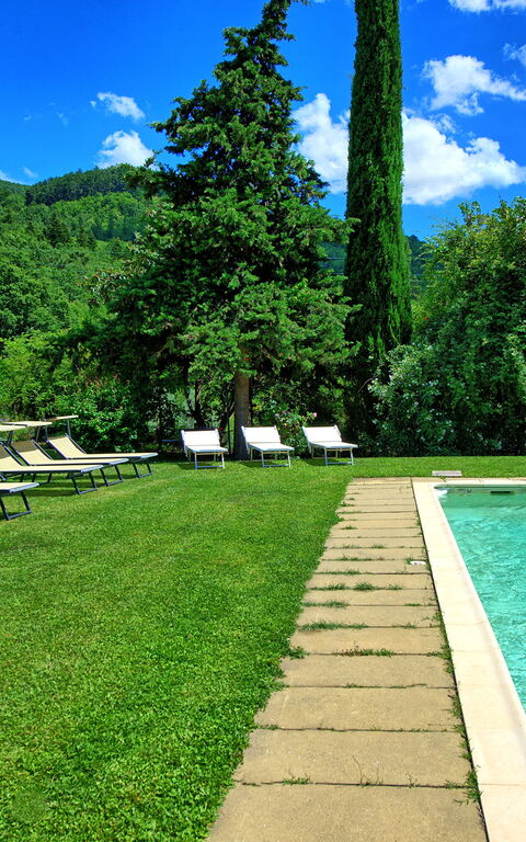 Villa Poggiolino: Have, pool, Udendørs