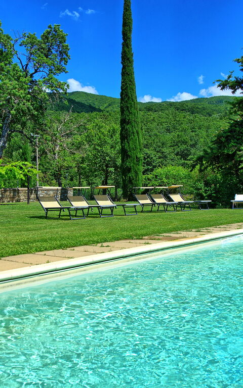 Villa Poggiolino: Have, pool, Udendørs