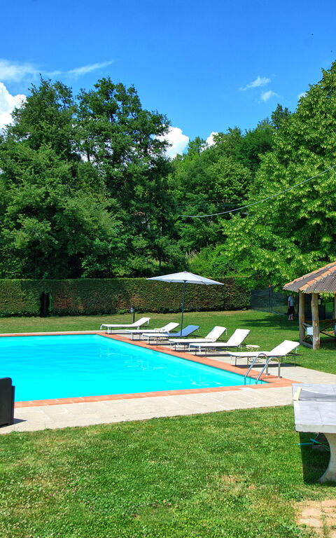Villa Margherita Due: Have, pool, Udendørs