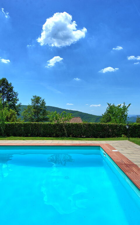 Villa Margherita Due: Have, pool, Udendørs
