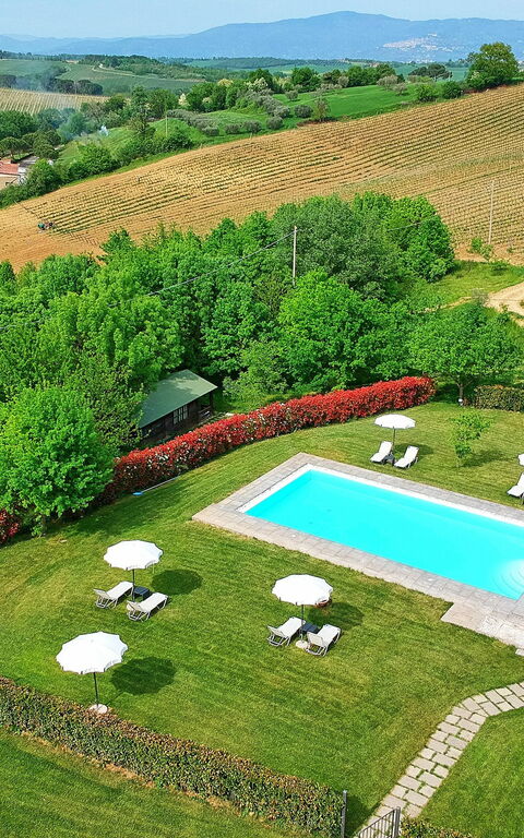 Podere Romina: Visninger