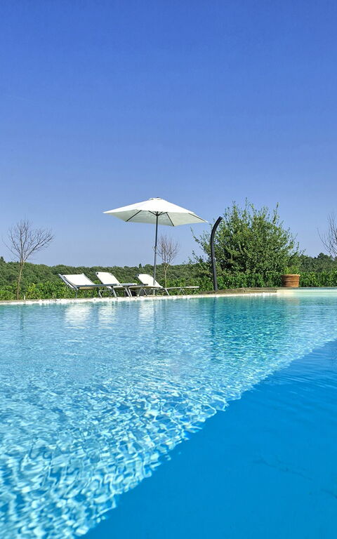Podere Romina: pool