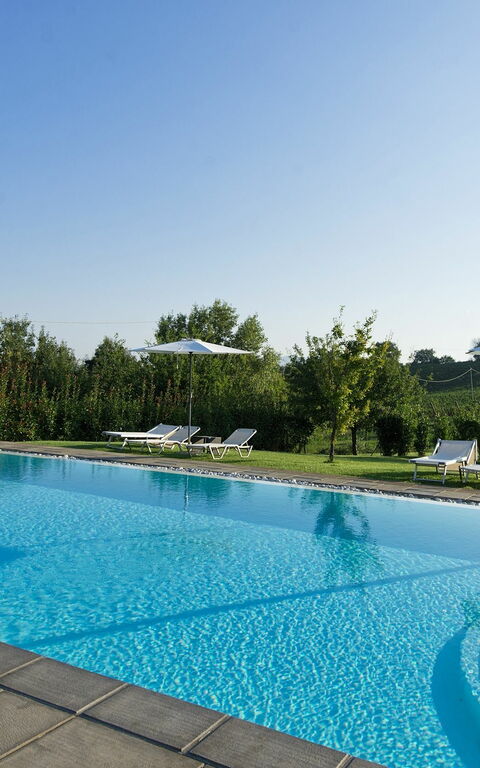 Podere Romina: pool
