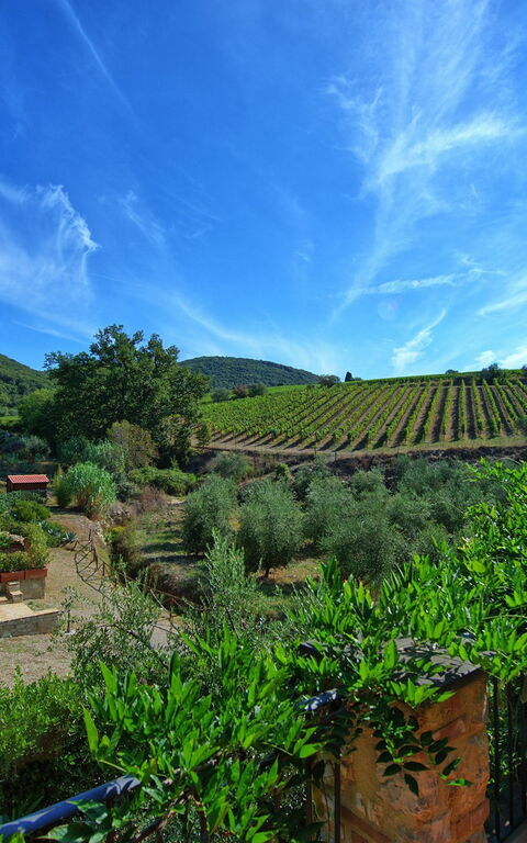 Casa Maria Luisa: Visninger