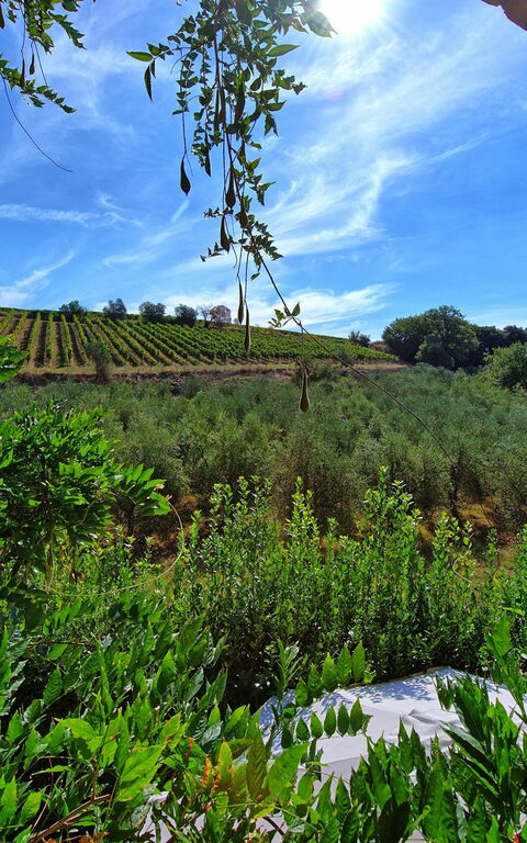 Casa Maria Luisa: Visninger