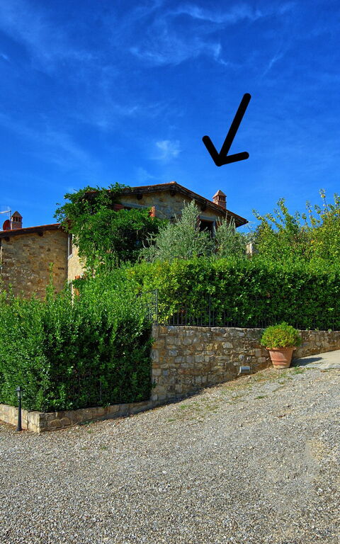 Casa Maria Luisa: Udendørs