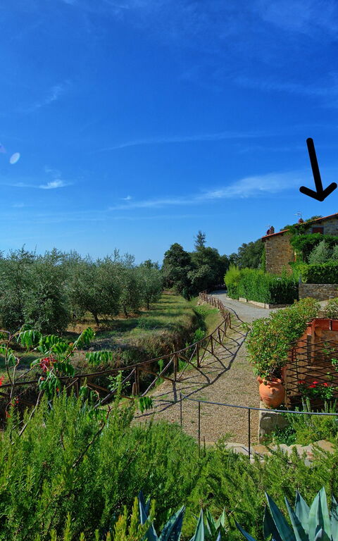 Casa Maria Luisa: Udendørs