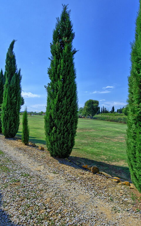 Casa Catia: Visninger