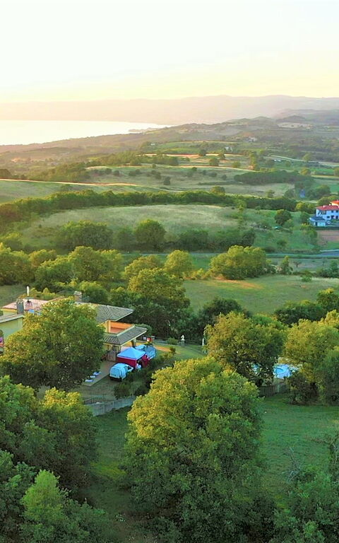 I Gigli Di Bolsena: Visninger