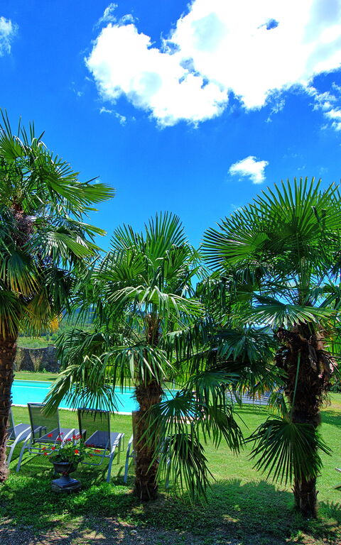 Villa Capolona: pool, Udendørs, Visninger