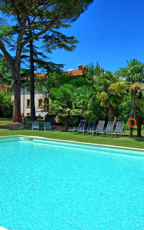 Villa Capolona: pool, Udendørs
