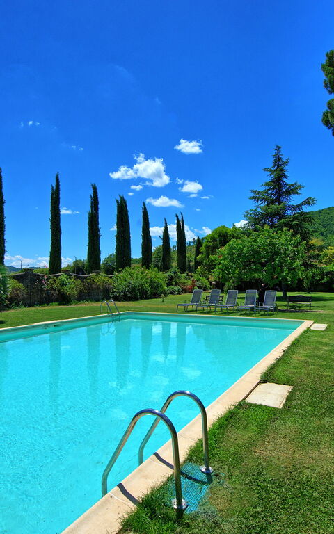 Villa Capolona: Have, pool, Udendørs