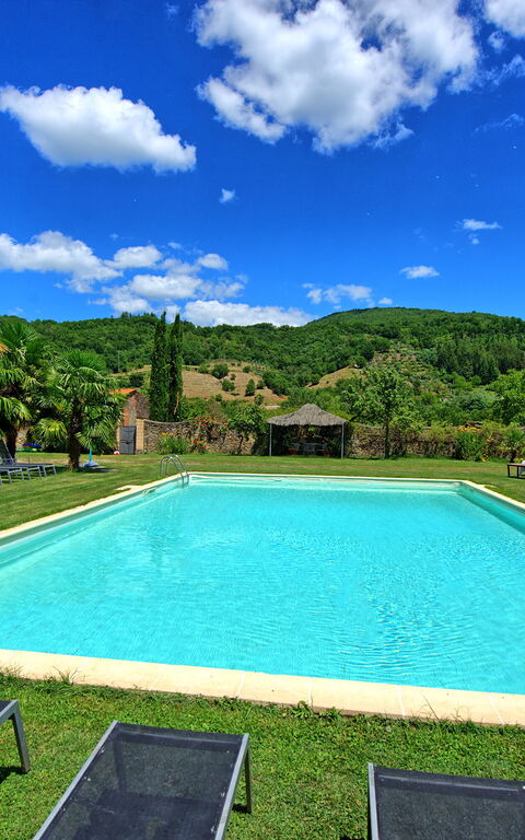Villa Capolona: Have, pool, Udendørs