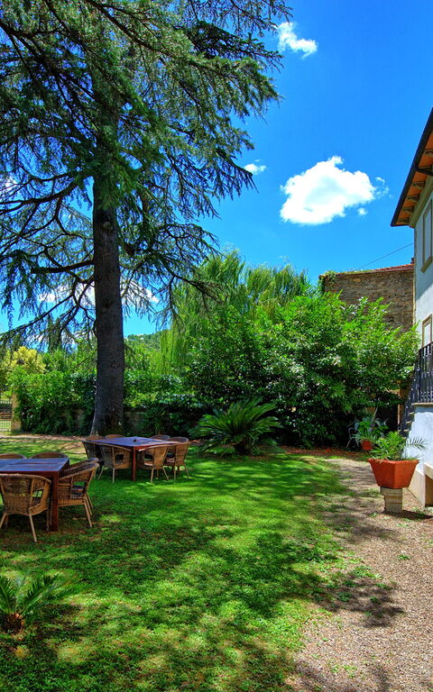 Villa Capolona: Have, Udendørs