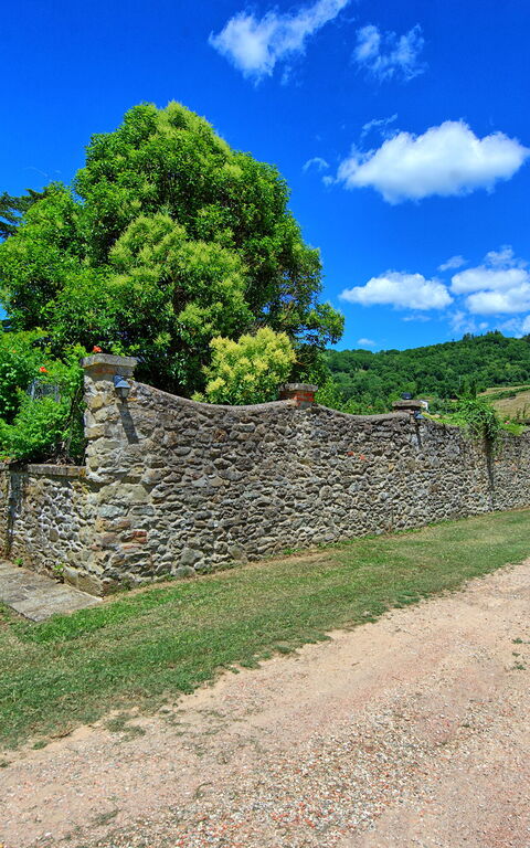 Villa Capolona: Udendørs